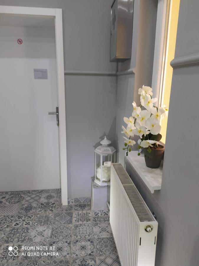 Villa Lucia - Apartments&Rooms Slavonski Brod Exterior foto